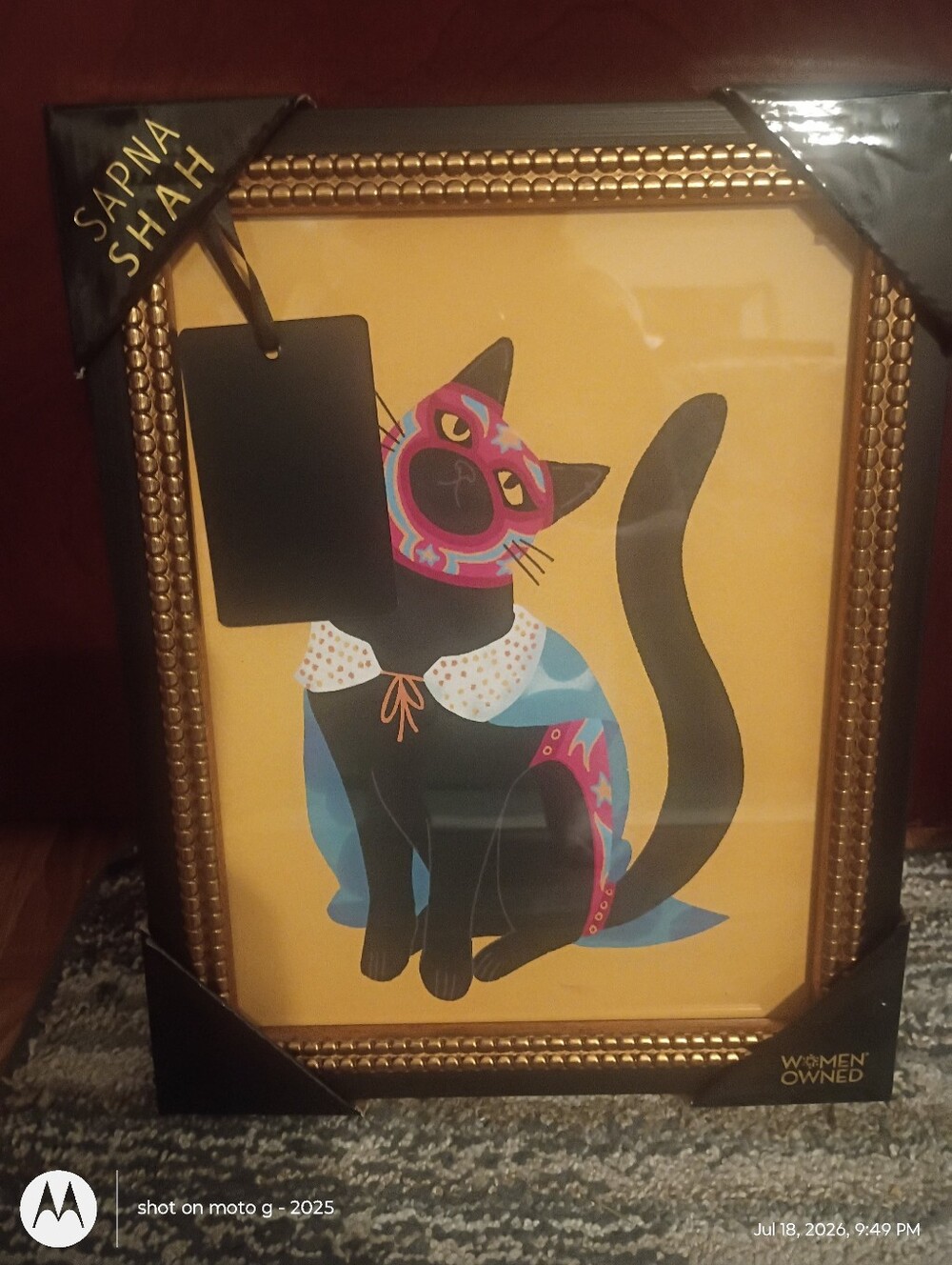 New Sapna Shah Framed Art Black Cat Luchador Mexican Wrestler Mask 11”x 14”